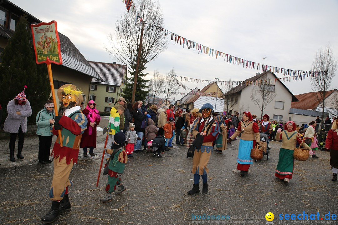 Fasnachtsumzug und Narrentage: Welschingen, 24.01.2016