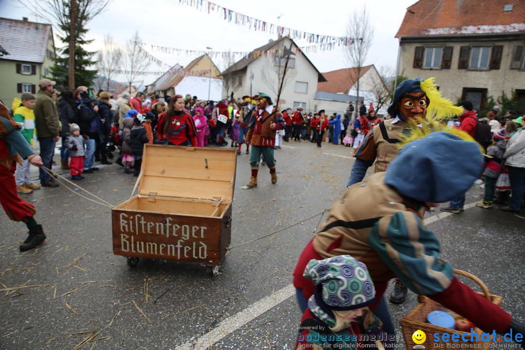 Fasnachtsumzug und Narrentage: Welschingen, 24.01.2016