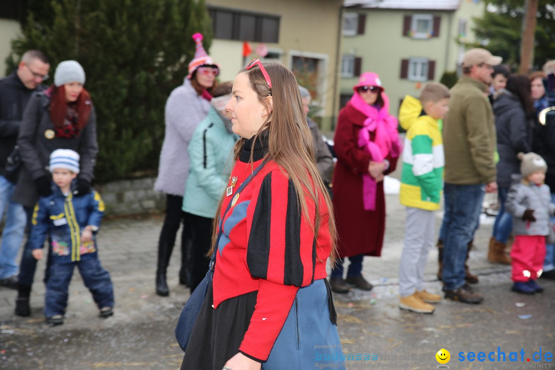 Fasnachtsumzug und Narrentage: Welschingen, 24.01.2016