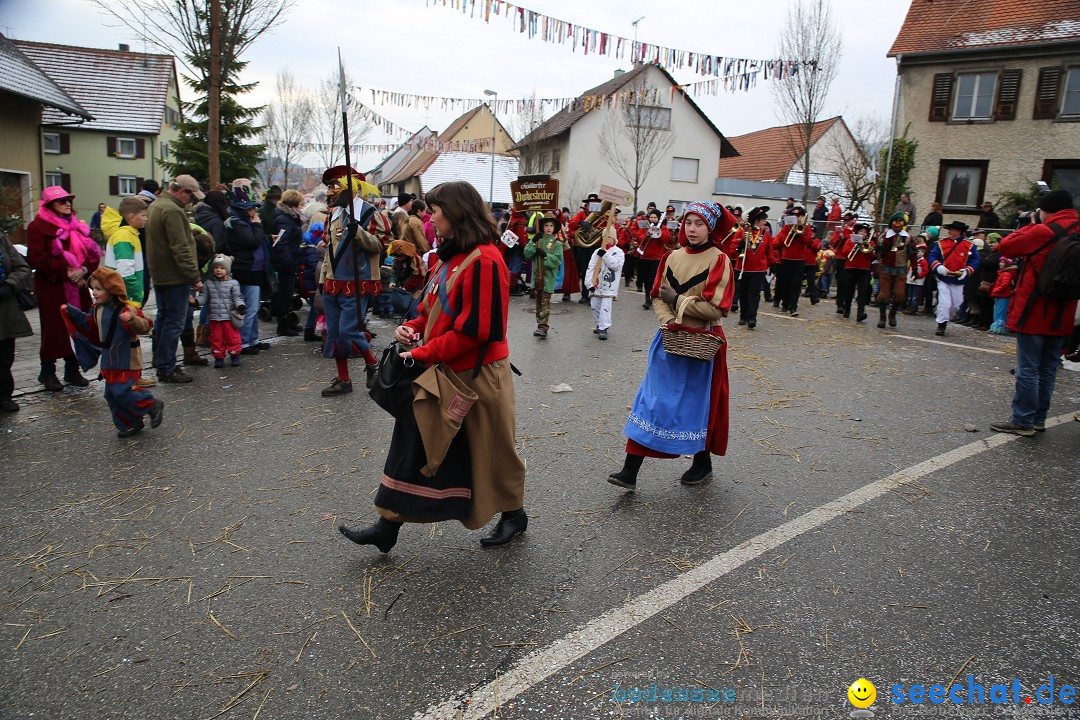 Fasnachtsumzug und Narrentage: Welschingen, 24.01.2016