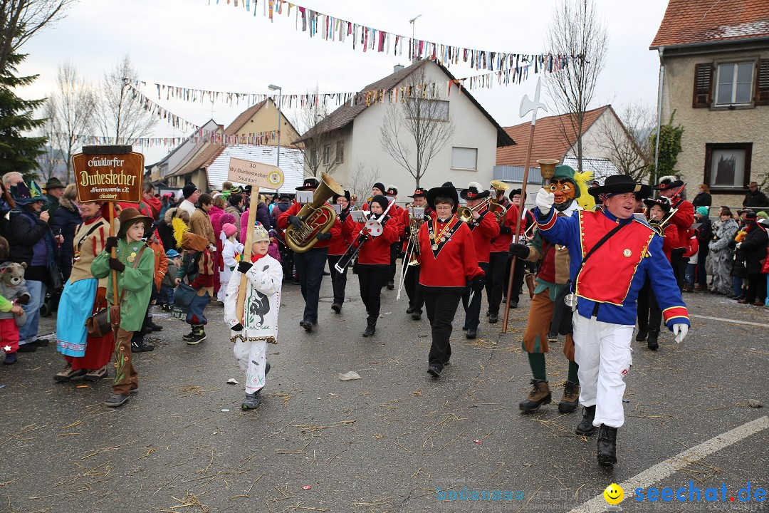 Fasnachtsumzug und Narrentage: Welschingen, 24.01.2016