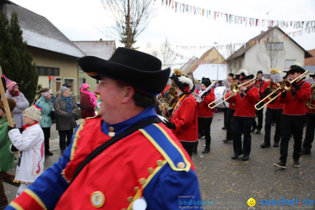 Fasnachtsumzug und Narrentage: Welschingen, 24.01.2016