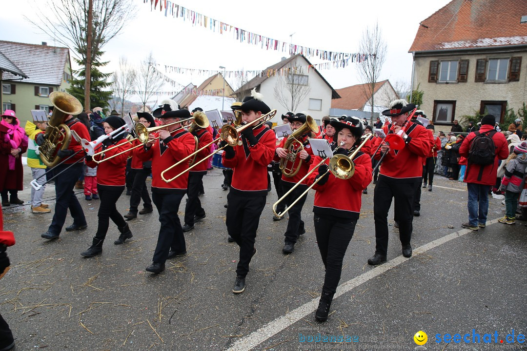 Fasnachtsumzug und Narrentage: Welschingen, 24.01.2016