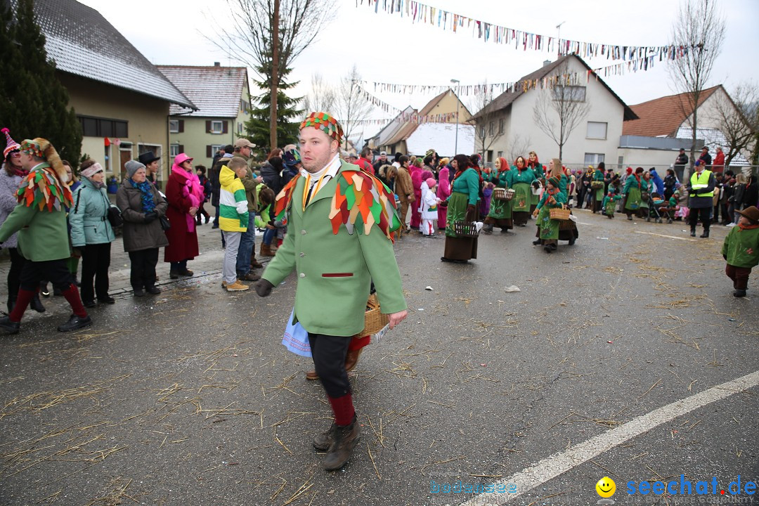 Fasnachtsumzug und Narrentage: Welschingen, 24.01.2016