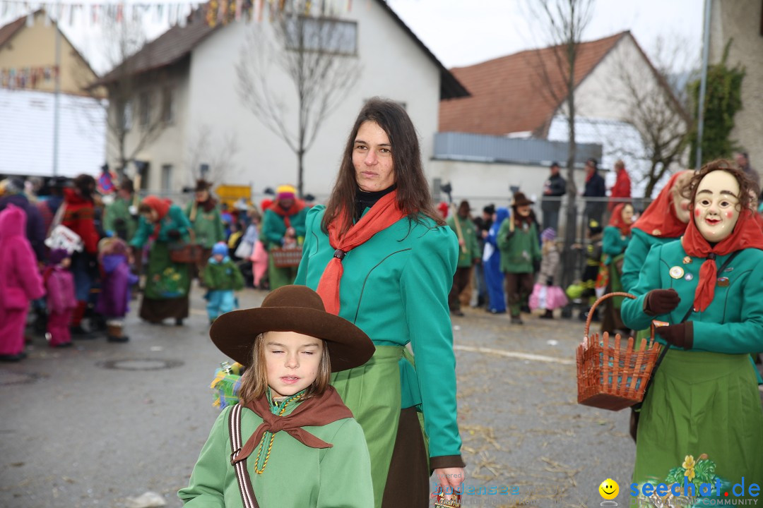 Fasnachtsumzug und Narrentage: Welschingen, 24.01.2016