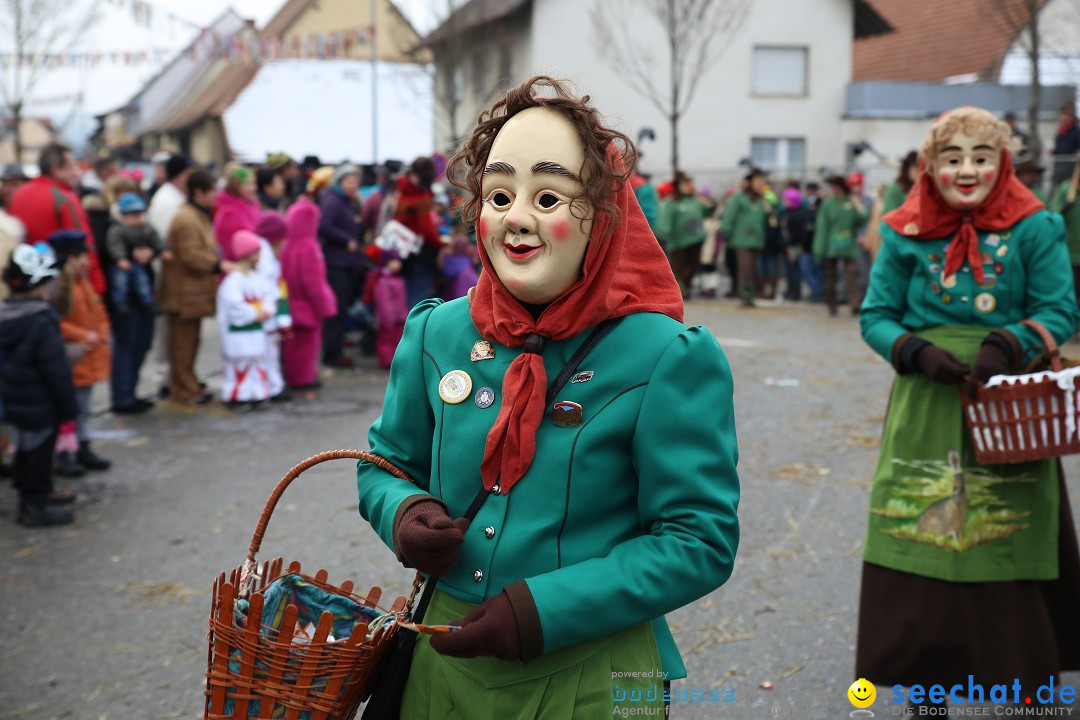 Fasnachtsumzug und Narrentage: Welschingen, 24.01.2016