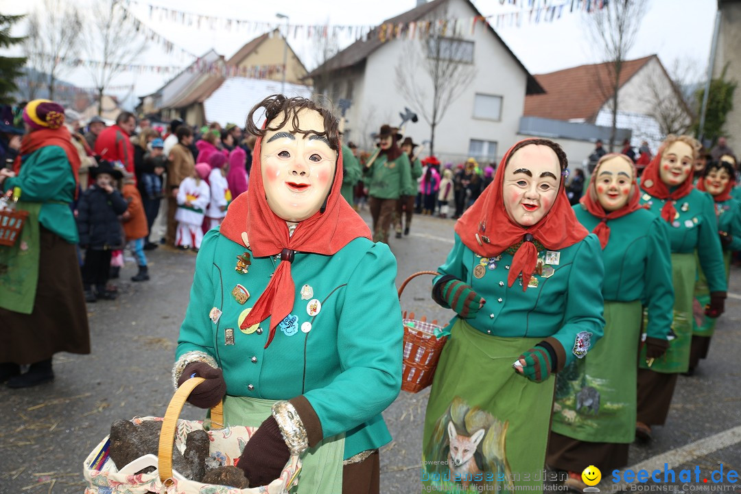 Fasnachtsumzug und Narrentage: Welschingen, 24.01.2016