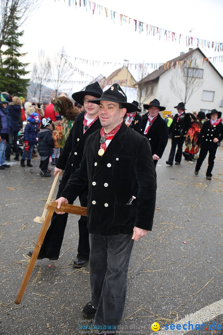 Fasnachtsumzug und Narrentage: Welschingen, 24.01.2016