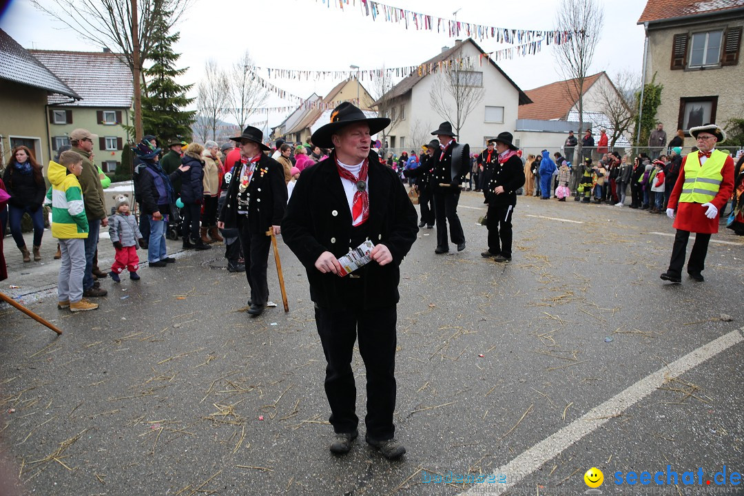 Fasnachtsumzug und Narrentage: Welschingen, 24.01.2016