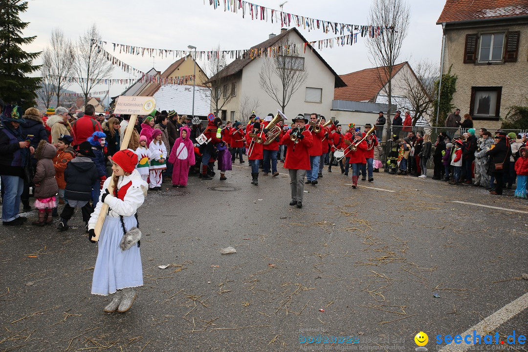 Fasnachtsumzug und Narrentage: Welschingen, 24.01.2016