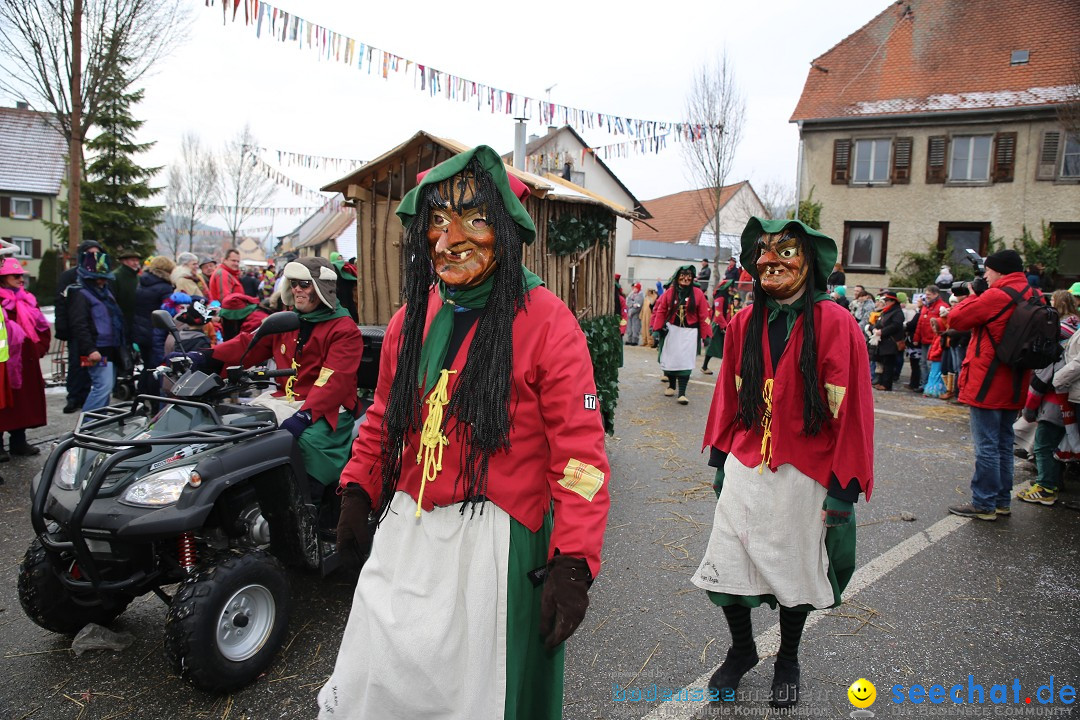 Fasnachtsumzug und Narrentage: Welschingen, 24.01.2016