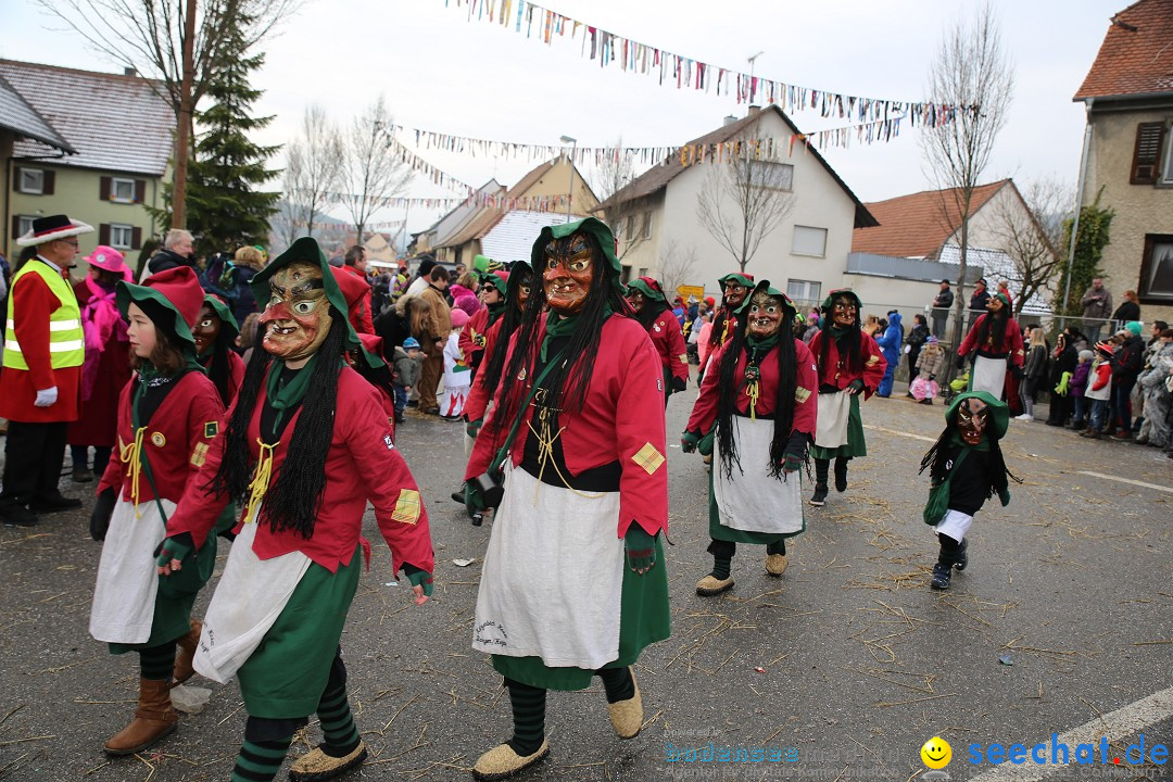 Fasnachtsumzug und Narrentage: Welschingen, 24.01.2016