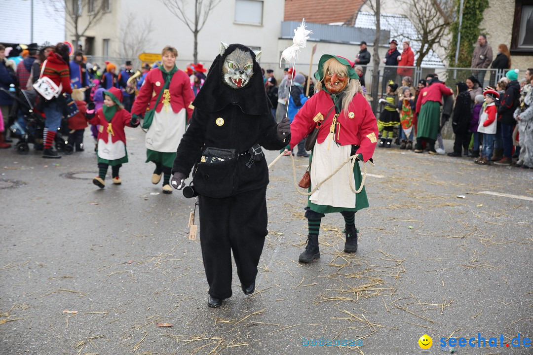 Fasnachtsumzug und Narrentage: Welschingen, 24.01.2016