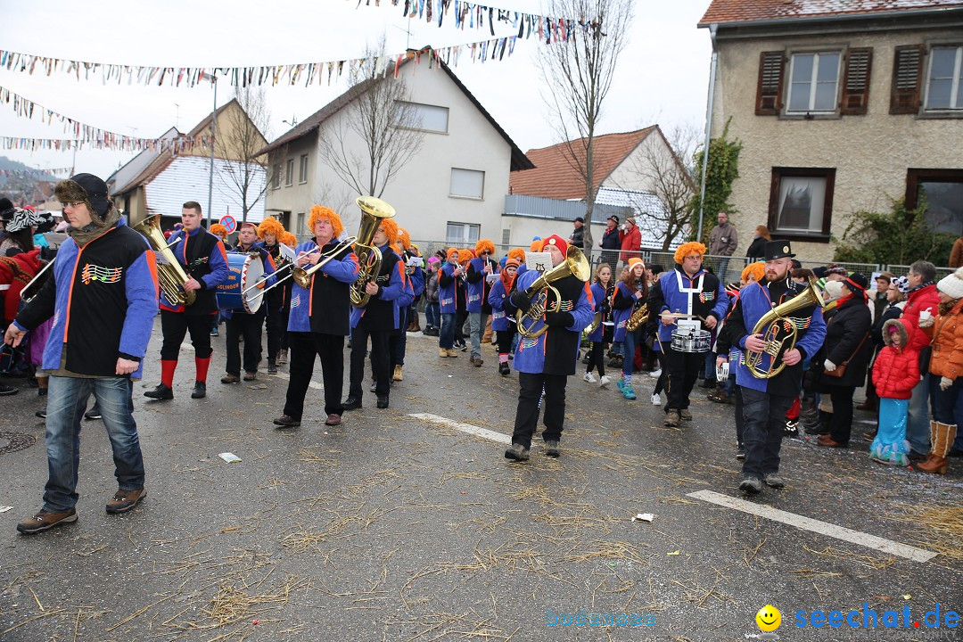 Fasnachtsumzug und Narrentage: Welschingen, 24.01.2016