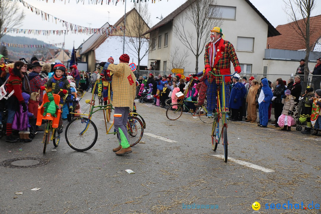 Fasnachtsumzug und Narrentage: Welschingen, 24.01.2016