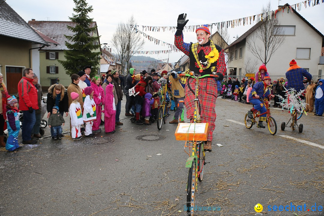 Fasnachtsumzug und Narrentage: Welschingen, 24.01.2016