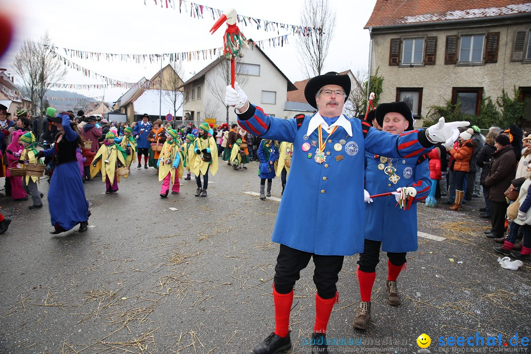 Fasnachtsumzug und Narrentage: Welschingen, 24.01.2016