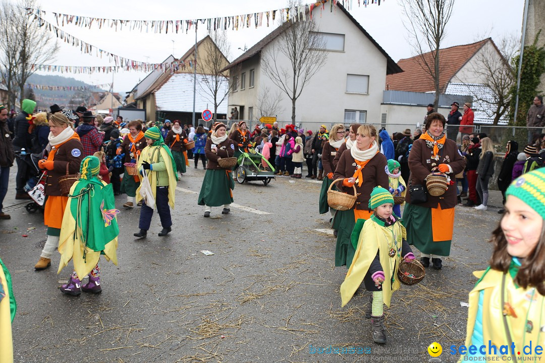 Fasnachtsumzug und Narrentage: Welschingen, 24.01.2016