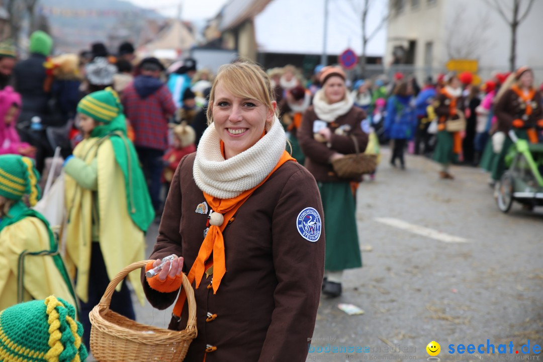 Fasnachtsumzug und Narrentage: Welschingen, 24.01.2016