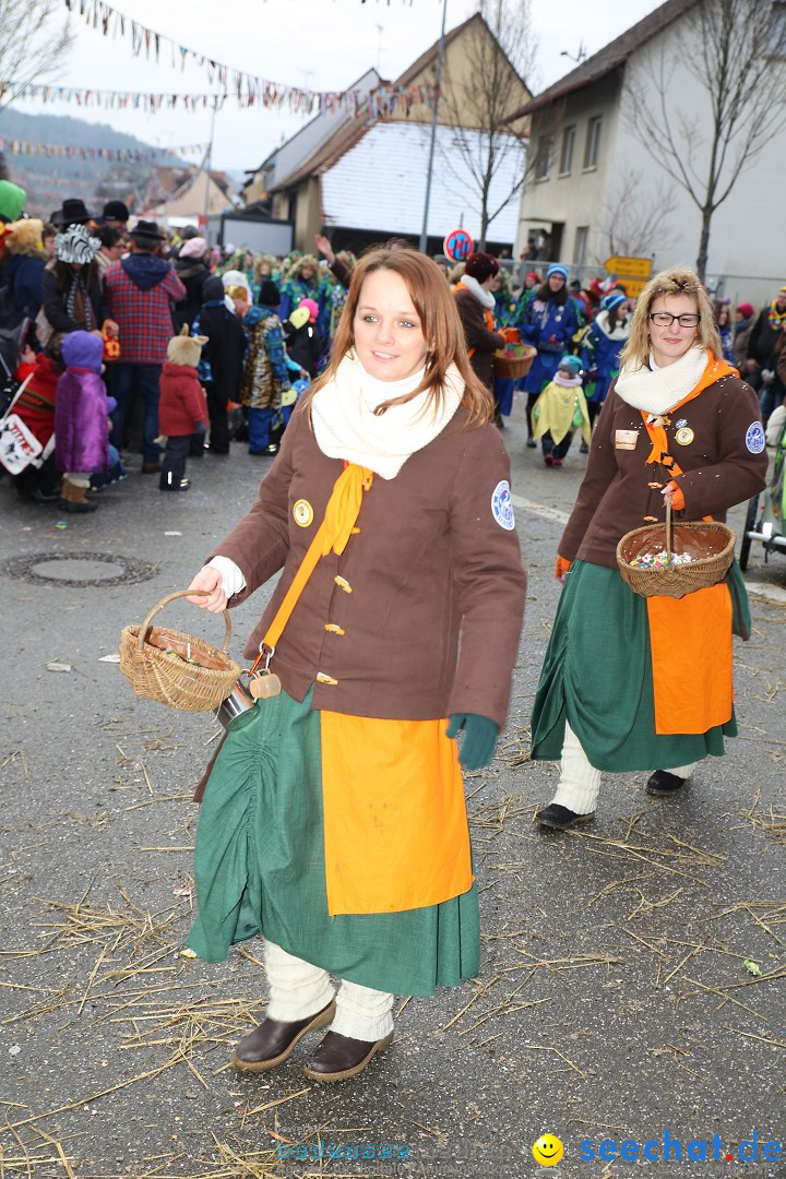 Fasnachtsumzug und Narrentage: Welschingen, 24.01.2016