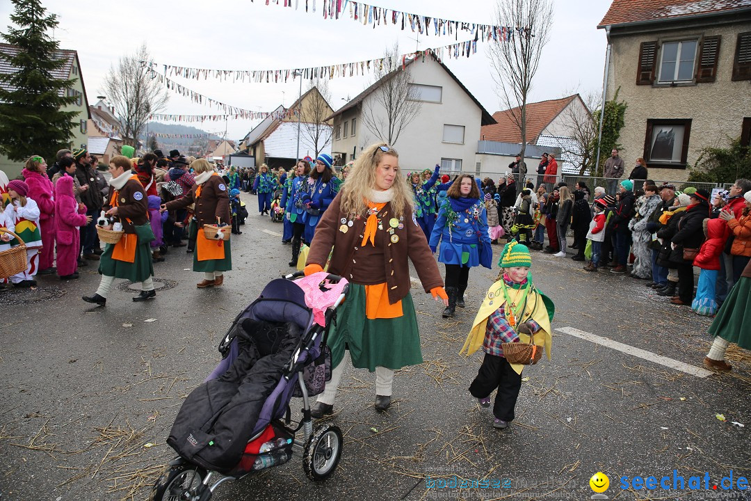 Fasnachtsumzug und Narrentage: Welschingen, 24.01.2016