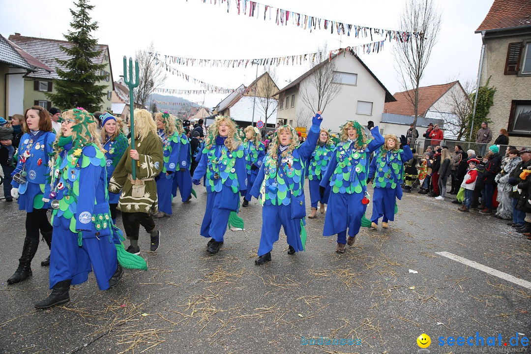 Fasnachtsumzug und Narrentage: Welschingen, 24.01.2016