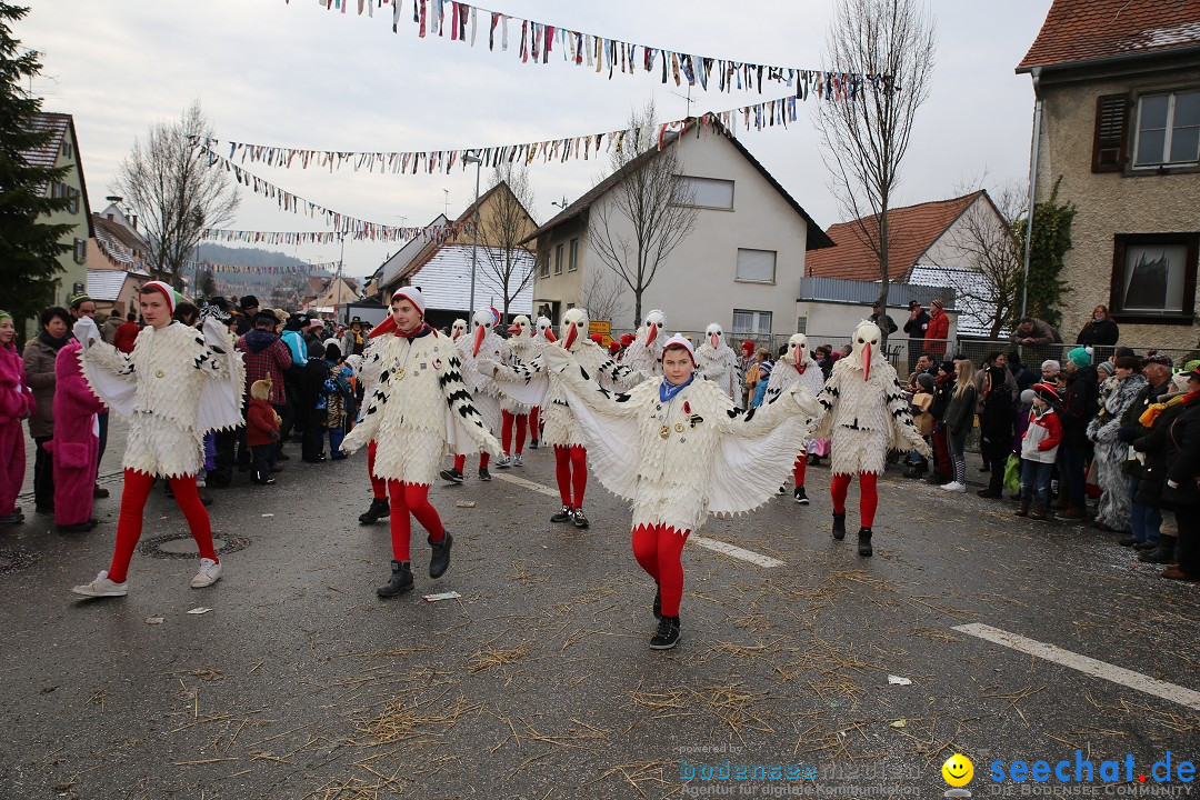 Fasnachtsumzug und Narrentage: Welschingen, 24.01.2016