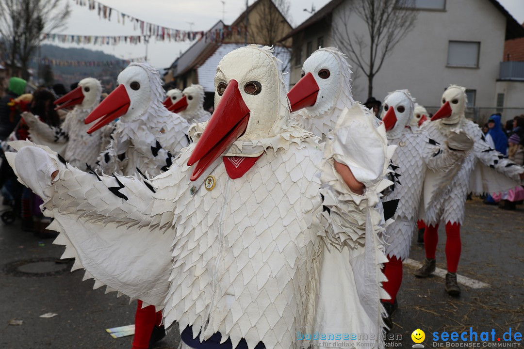 Fasnachtsumzug und Narrentage: Welschingen, 24.01.2016