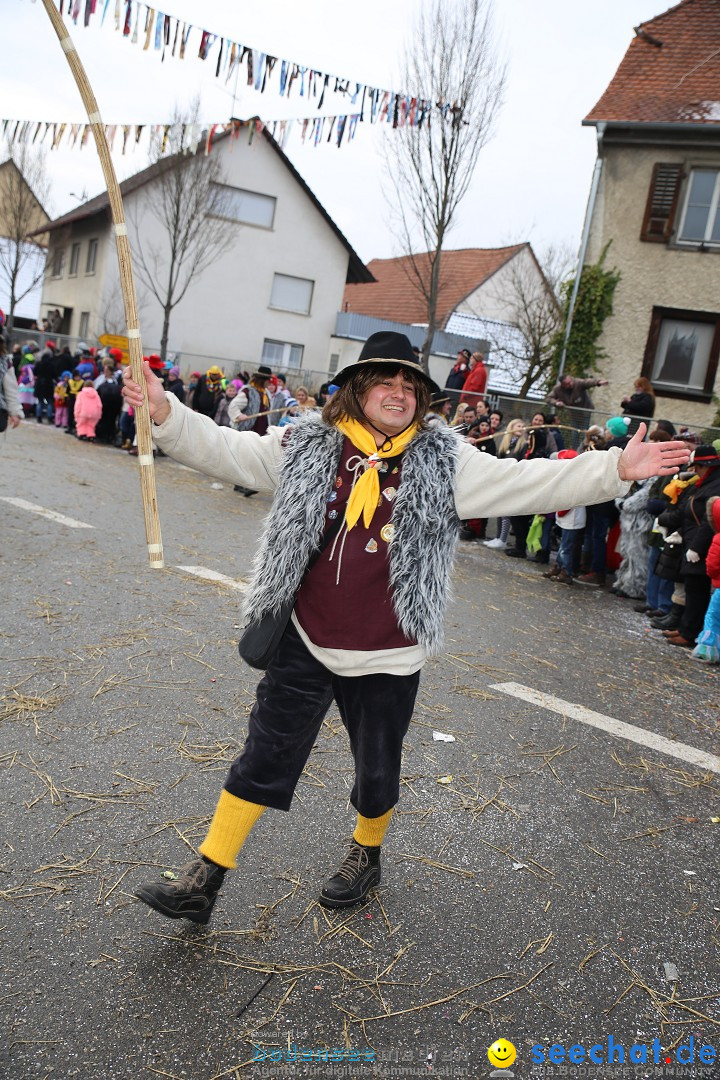 Fasnachtsumzug und Narrentage: Welschingen, 24.01.2016