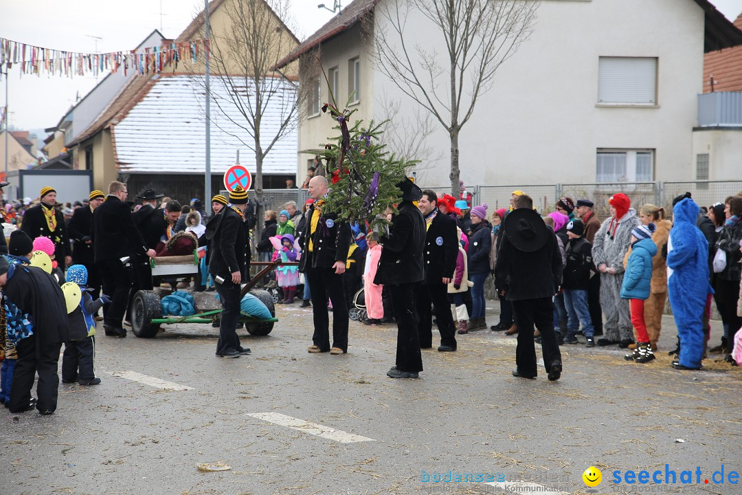 Fasnachtsumzug und Narrentage: Welschingen, 24.01.2016