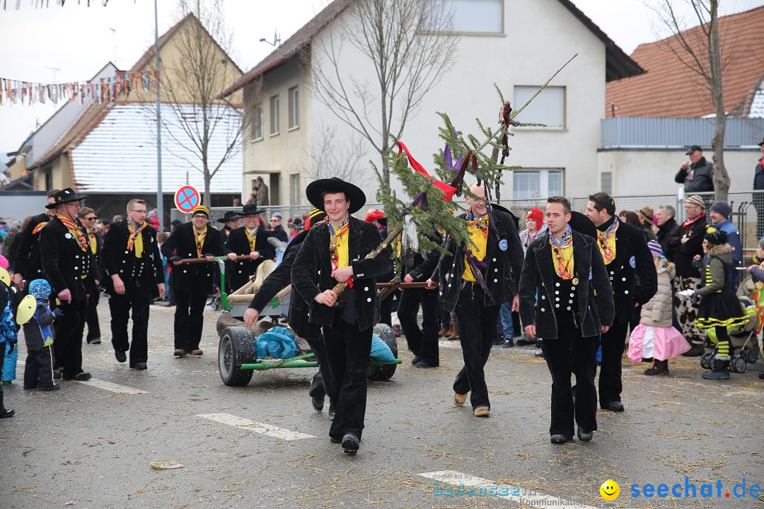 Fasnachtsumzug und Narrentage: Welschingen, 24.01.2016