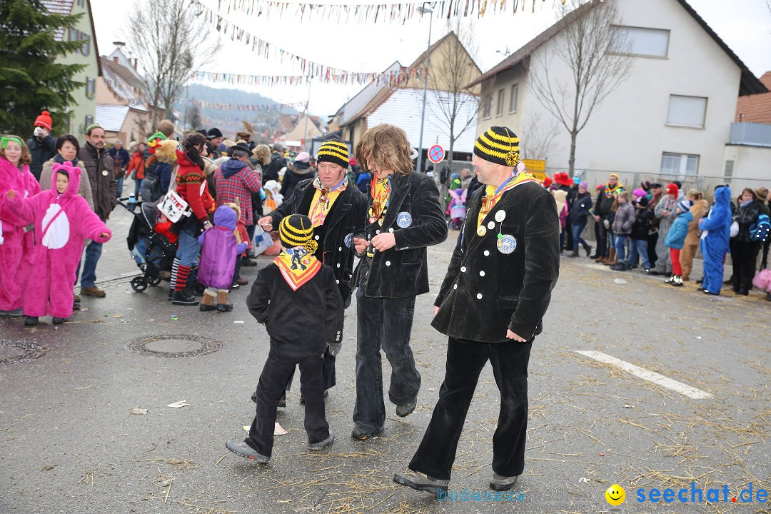 Fasnachtsumzug und Narrentage: Welschingen, 24.01.2016