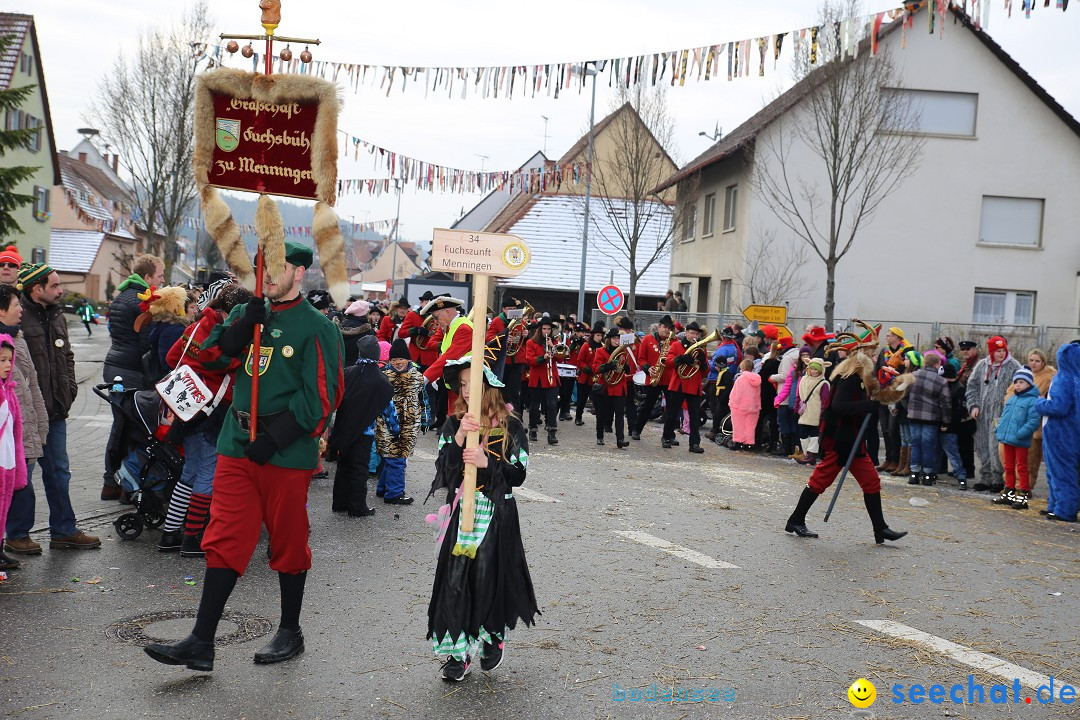 Fasnachtsumzug und Narrentage: Welschingen, 24.01.2016