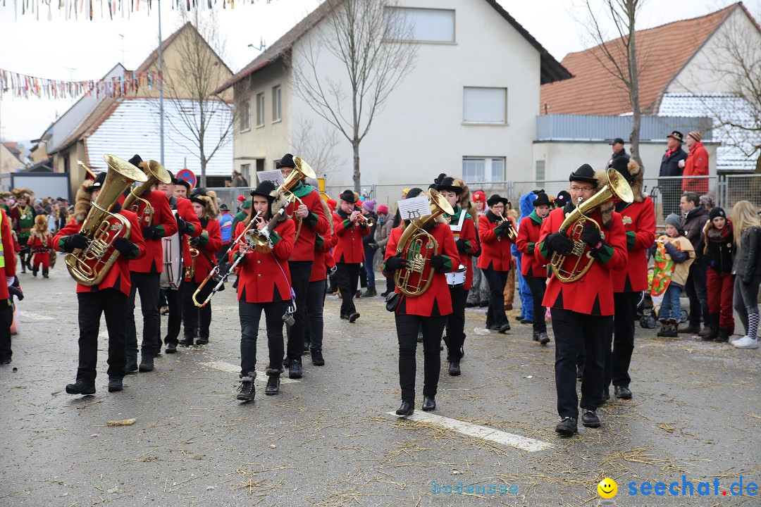 Fasnachtsumzug und Narrentage: Welschingen, 24.01.2016