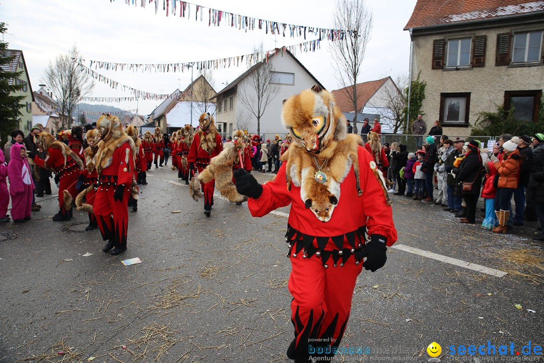 Fasnachtsumzug und Narrentage: Welschingen, 24.01.2016