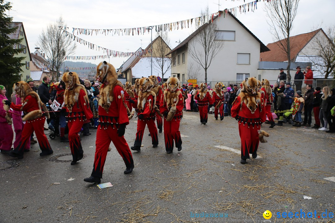 Fasnachtsumzug und Narrentage: Welschingen, 24.01.2016