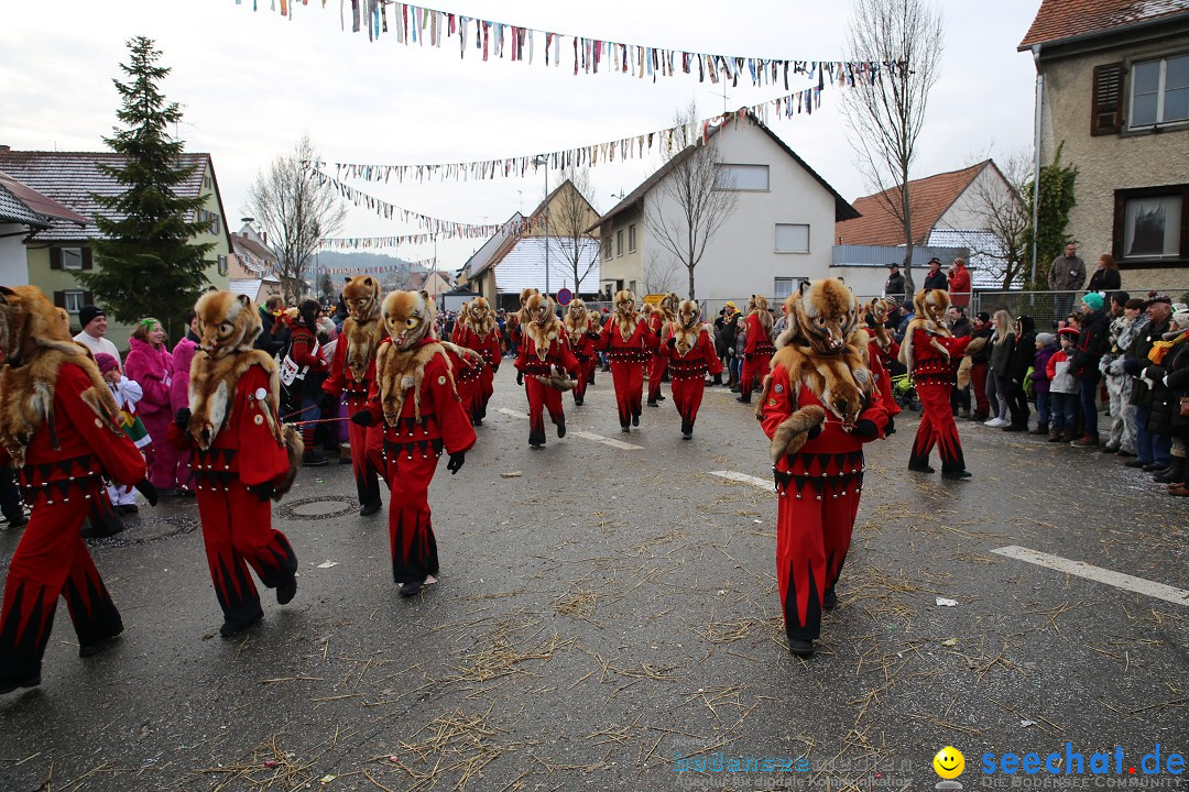 Fasnachtsumzug und Narrentage: Welschingen, 24.01.2016