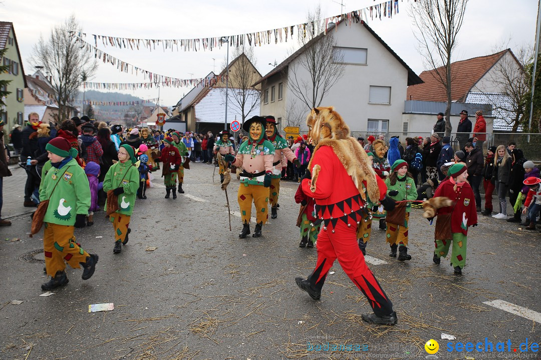 Fasnachtsumzug und Narrentage: Welschingen, 24.01.2016