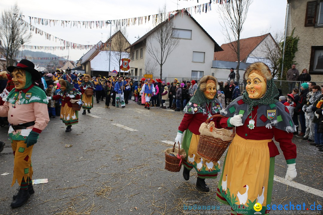 Fasnachtsumzug und Narrentage: Welschingen, 24.01.2016