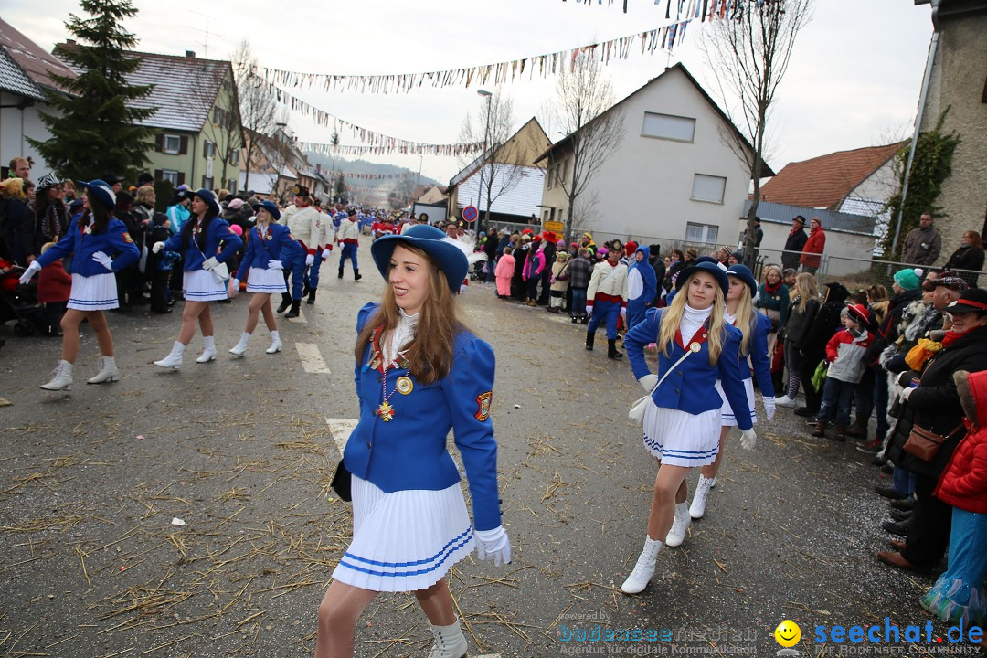 Fasnachtsumzug und Narrentage: Welschingen, 24.01.2016