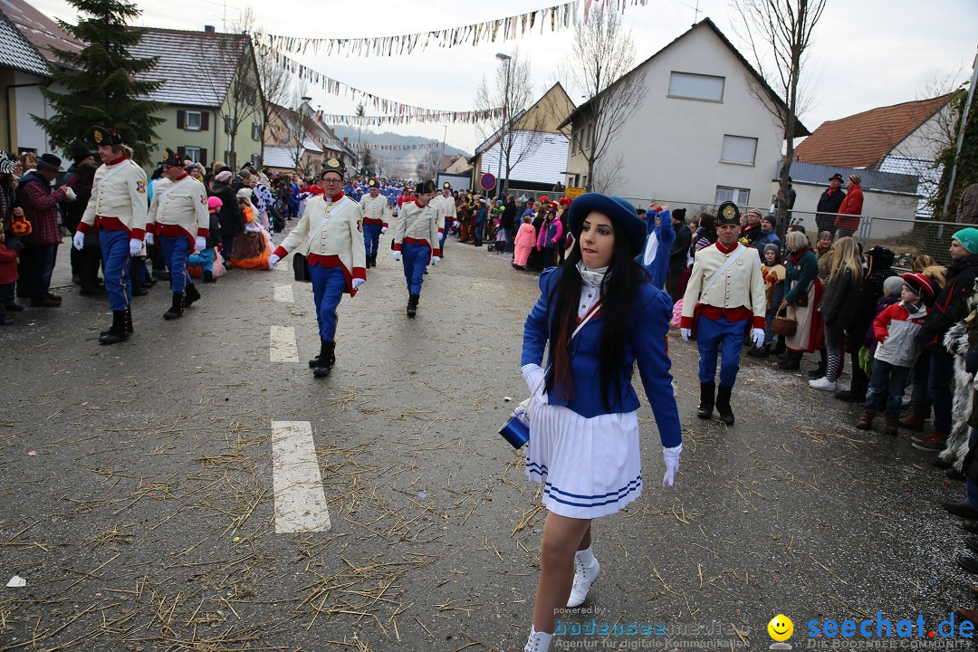 Fasnachtsumzug und Narrentage: Welschingen, 24.01.2016