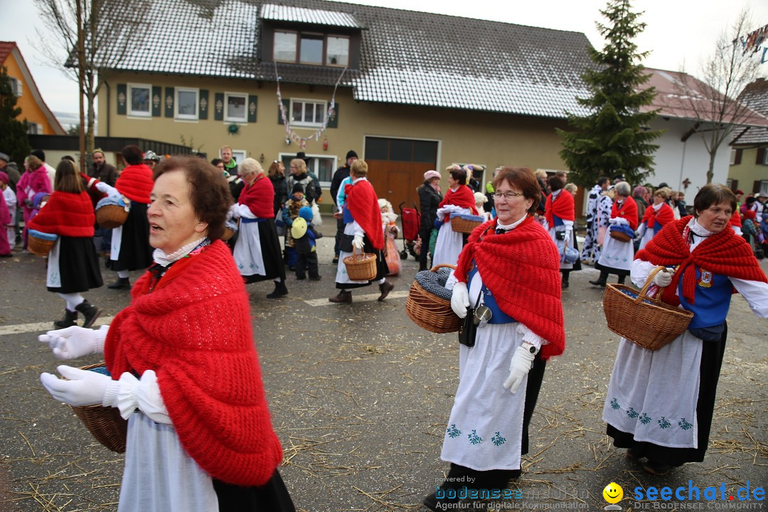 Fasnachtsumzug und Narrentage: Welschingen, 24.01.2016