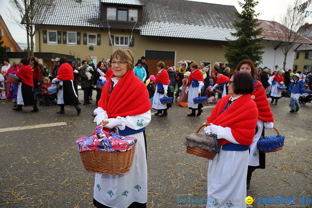 Fasnachtsumzug und Narrentage: Welschingen, 24.01.2016