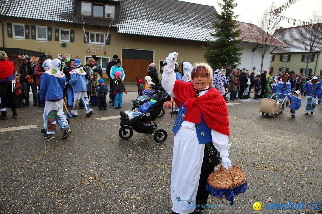 Fasnachtsumzug und Narrentage: Welschingen, 24.01.2016