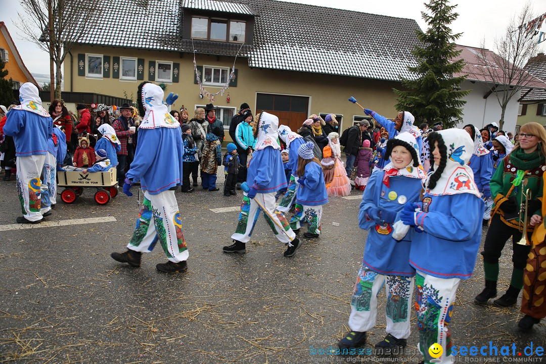 Fasnachtsumzug und Narrentage: Welschingen, 24.01.2016