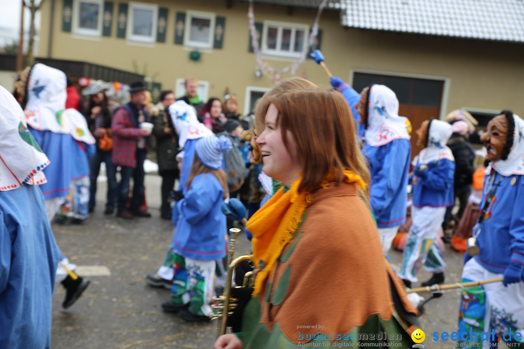 Fasnachtsumzug und Narrentage: Welschingen, 24.01.2016