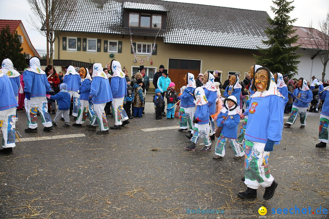 Fasnachtsumzug und Narrentage: Welschingen, 24.01.2016