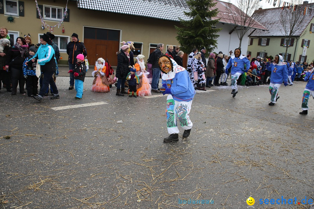 Fasnachtsumzug und Narrentage: Welschingen, 24.01.2016