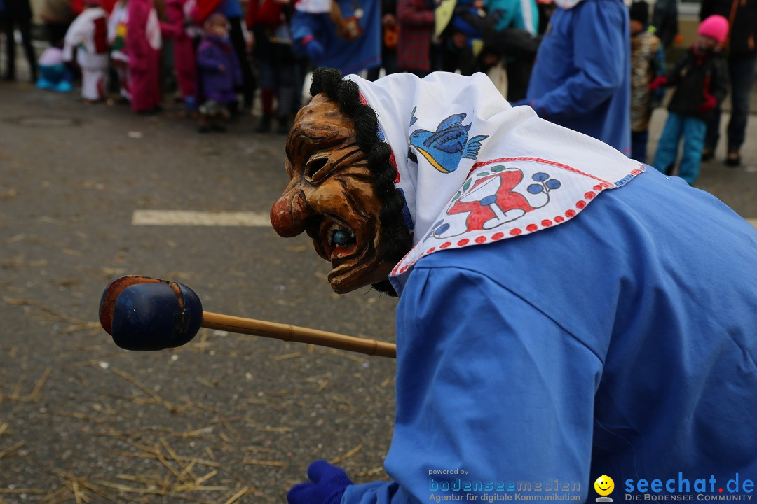 Fasnachtsumzug und Narrentage: Welschingen, 24.01.2016