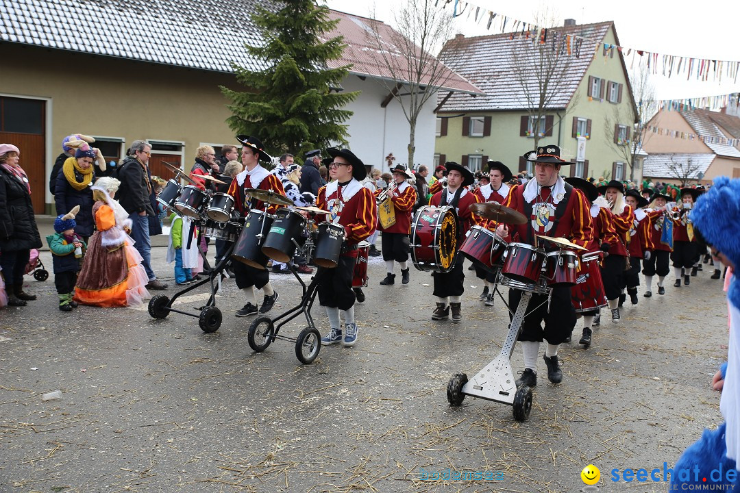 Fasnachtsumzug und Narrentage: Welschingen, 24.01.2016